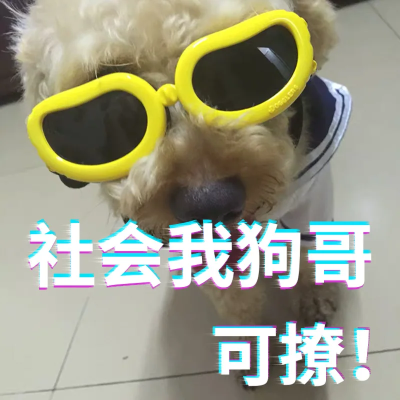

2020 Новый Pet очки солнцезащитные очки трансграничной собака индивидуализированный и популярный УФ-защита украшения в виде домашних животных