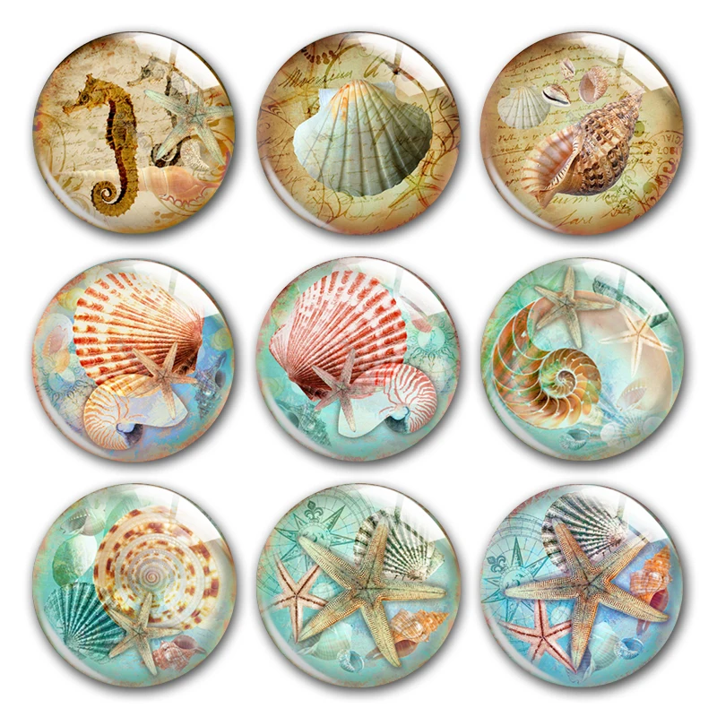 Ocean Life Glass Cabochon, Starfish Seashell Hippocampus Shell Sealife Round Photo Glass Cabochon Demo Flat Back Making Findings