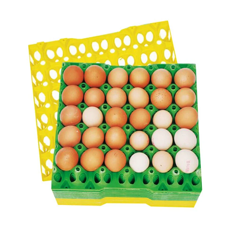 10 Pcs Farm Egg Tray 288*288*48mm Egg Tray Transportation And Storage Of Eggs Recycling Plastic Material Egg Trough Depth 36mm