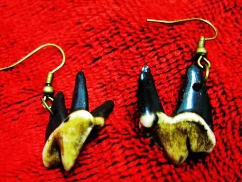 10 pair Punk Fashion Brave Wolf Teeth Women Lucky Jewelry Classic Fang Tooth Amulet Earring