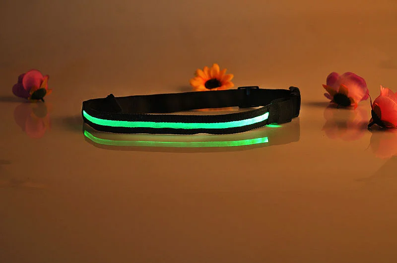 Ceinture lumineuse avec boucle LED en Nylon, 40-100CM, équipement d'avertissement de sécurité pour courses d'équitation, Jogging, patinage en plein air