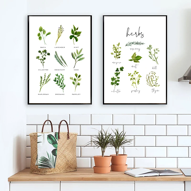 Pintura en lienzo de hierbas, póster con acuarela, albahaca, orégano, salvia, Cilantro, imagen botánica, decoración artística de pared de cocina