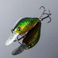 NF005