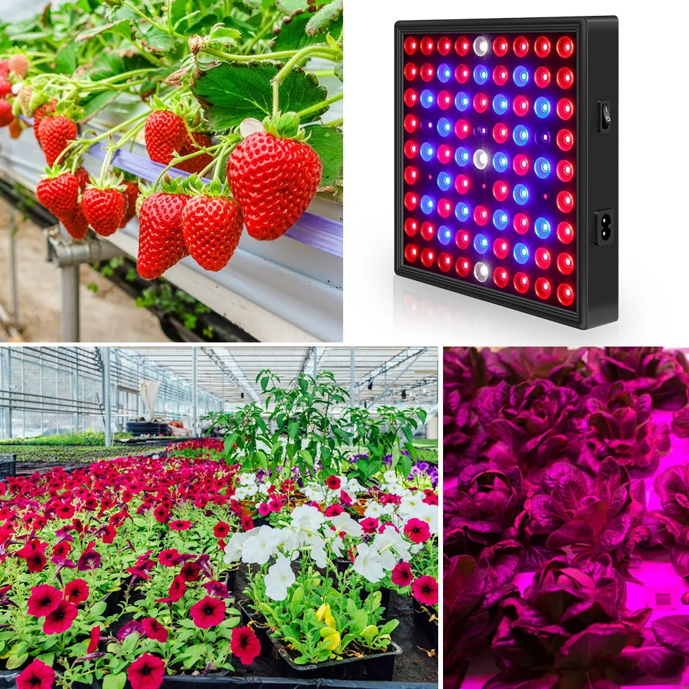 Imagem -02 - Led Espectro Completo Led Cresce a Luz para Planta de Interior Lâmpada Hidropônica Tenda Luz Crescente Led Phyto Lâmpada Flor Estufa Lâmpada 50w