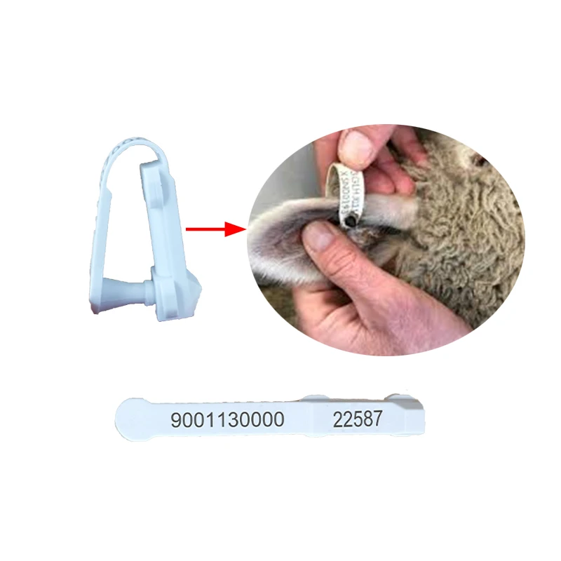 x20pcs TPU LF RFID animal ID ear tag for Sheep identification with FDX-B 134.2KHz ICAR Certification