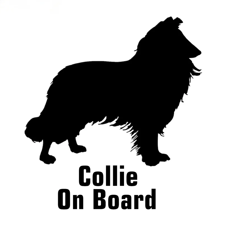 Creativity Car Styling Cute Border Collie on Board Car Sticker Funny Stickers Auto Decals