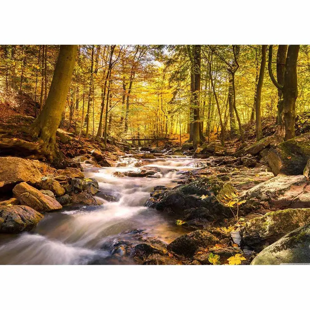 Autumn Forest Stream vinile panno fotografia sfondi ritratto fondali fotografici Studio fotografico Photobooth Camera Photo