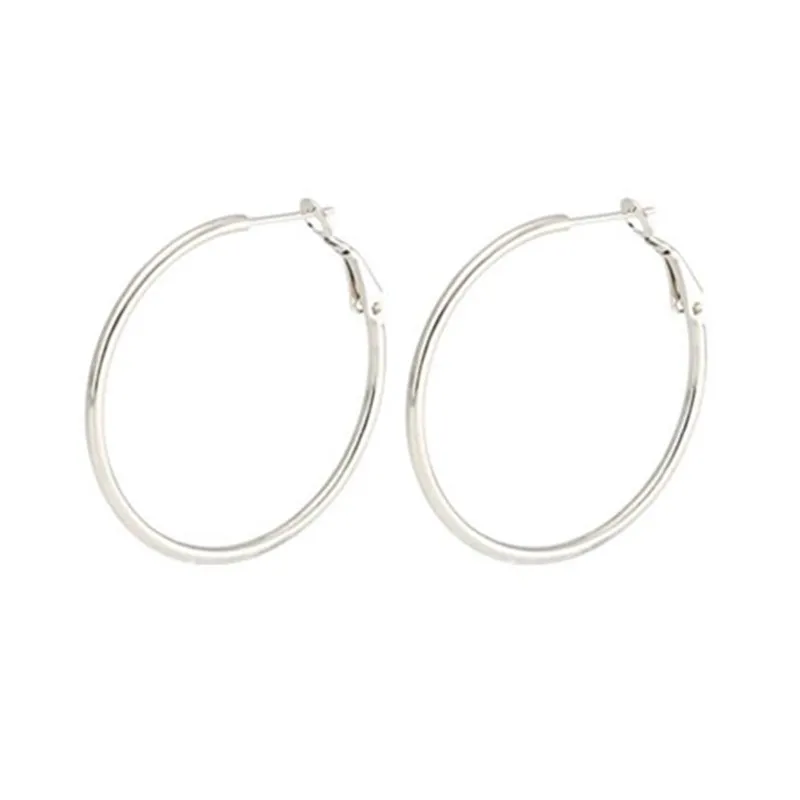 1 Pair 2mm Stainless Steel Hoop Earrings for Women Earrings Piercing Jewelry Earring Prevent Allergy Earrings Jewelry Wholesale