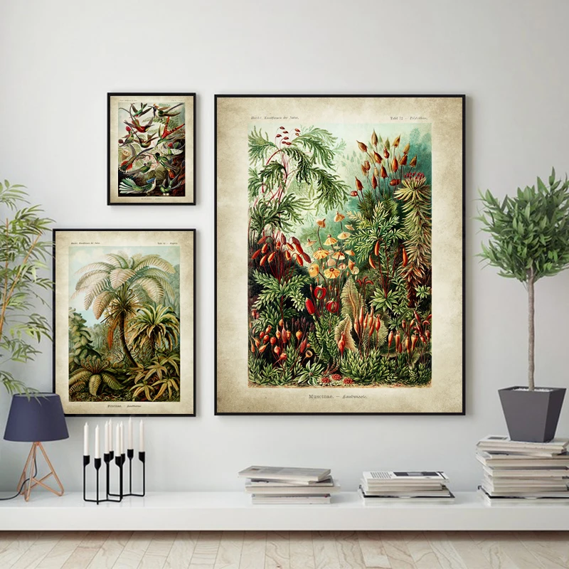 Vintage Ernst Haeckel Biology Poster Hummingbird Palm Tree Botanical Art Prints Plant Canvas Painting Office Home Wall Art Decor