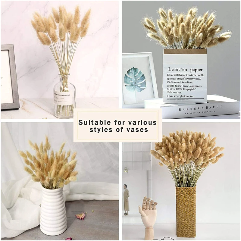 

30pcs Rabbit Grass Bouquet Dried Flower Bunny Tail Natural Plants Floral Home Decoration Accessories Photography Props Flores