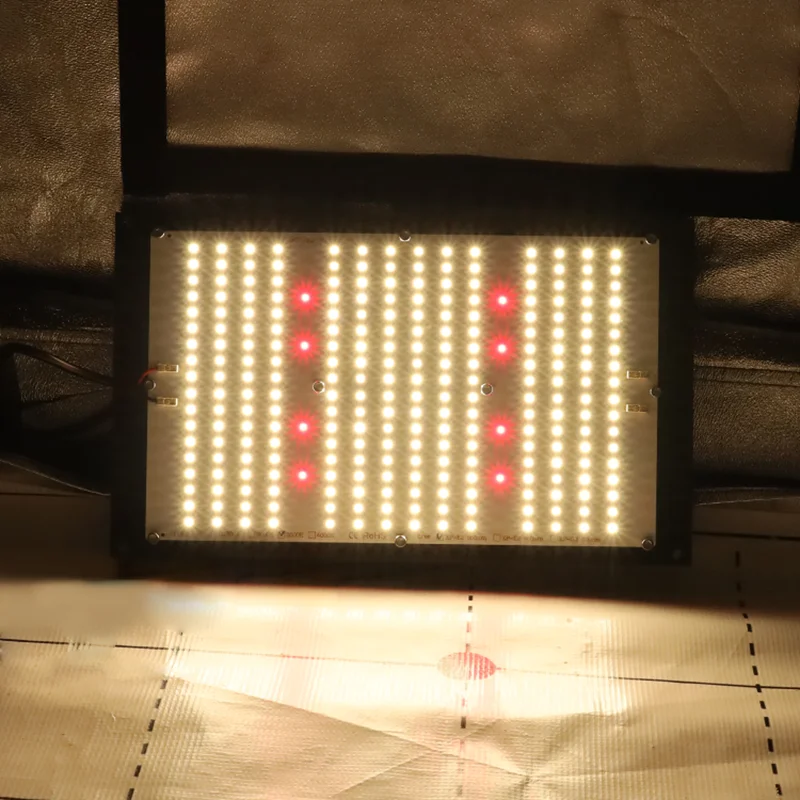 QB288: La Lampada per Coltivazione di Piante con Tecnologia Led Quantico