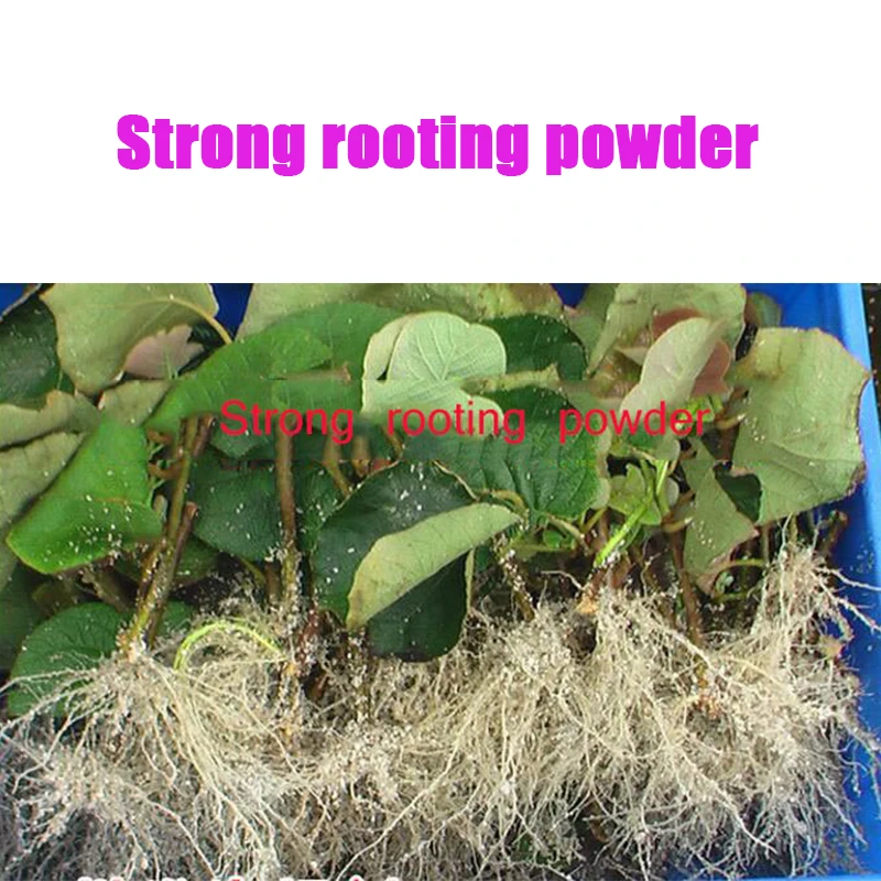 2pcs Flower Strong rooting powder growing roots seedling strong recovery root vigor germination aid fertilizer Garden medicine