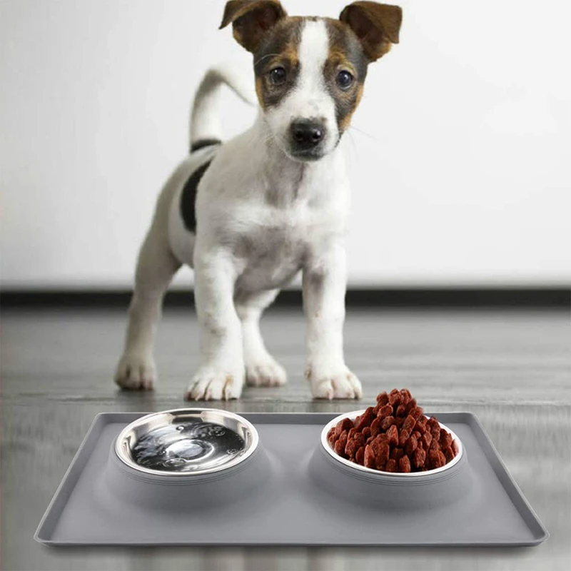 Benepaw Stainless Steel Double Dog Bowl With Silicone Mat Nontoxic Nonslip No Spill Pet Water Food Bowl Cat Puppy Feed Drinking