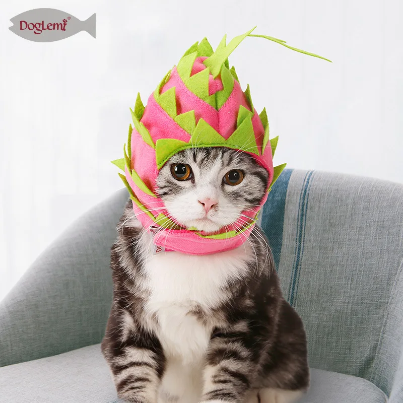 

Modelling of pitaya pet head cat dog with fruit turns into a hat scarf Halloween party supplies