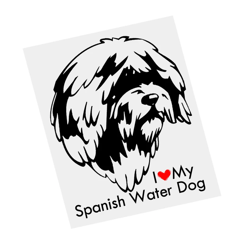 

S61654# Spanish Water Dog Black Transparent Car Sticker Vinyl Decal Waterproof Decors for Motorcycle Bumper Laptop