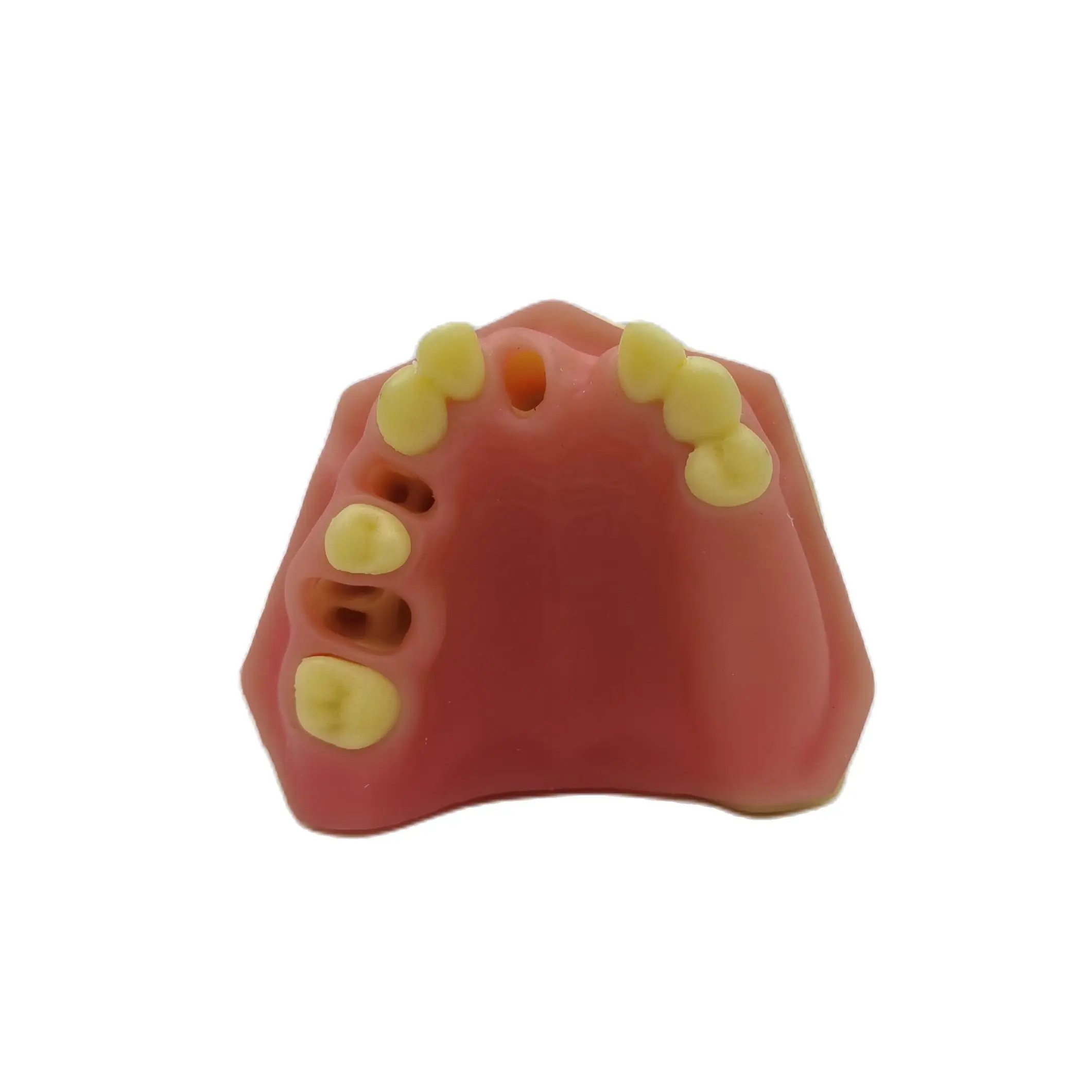 

1pc Teeth Model Dental Demonstration Oral Model Implant Practice Maxillary Sinus Teaching Model Soft Gum