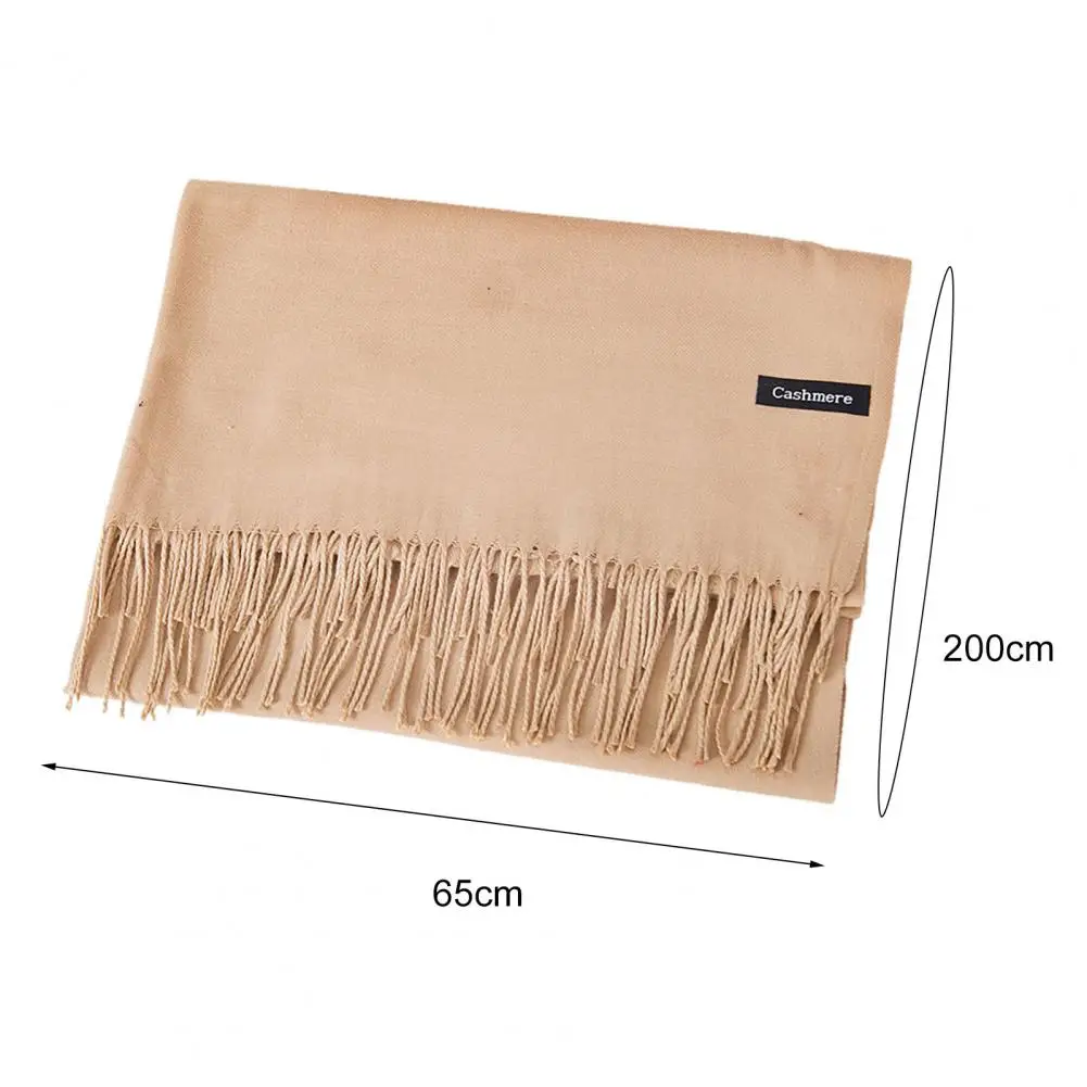 2021 Unisex Long Shawl Women Men Stylish Winter Warm Solid Imitation Cashmere Thicken Tassel Long Scarf Blanket for Outdoor