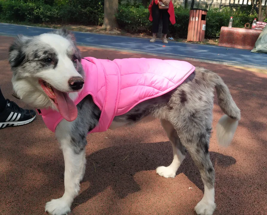 New Dog Clothes Autumn And Winter Pet Clothes Waterproof Pet Clothing Double-sided Can Wear Thick Coat Dog Coat Vest