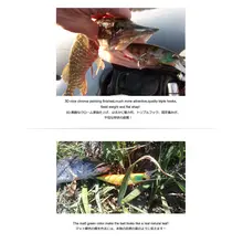 120mm 18g SP Jerkbaits Fishing Lures #5