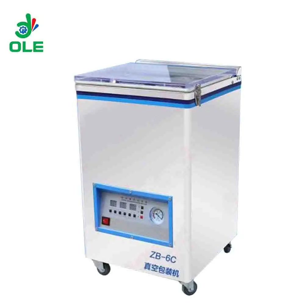 

Home Usage Fish Vacuum Packaging Machine Meat Vacuum Packing Machine