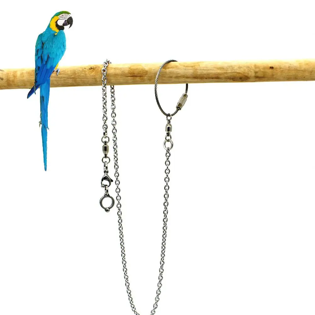 New Arrival Parrot Stainless Steel Foot Ring Chain Opening Activity Ring For Lovebird Cockatiel Parakeet Bird Stand Anklet