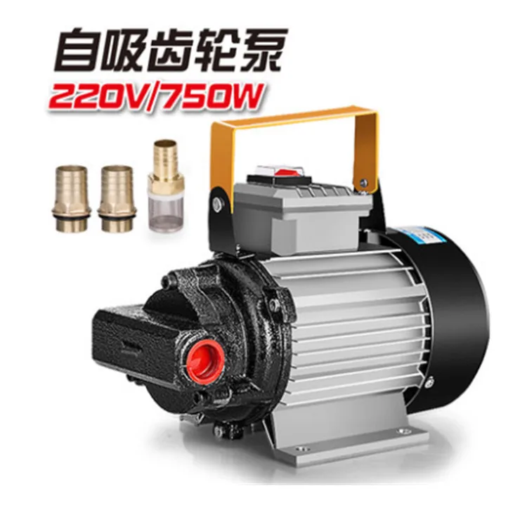 

220V/12V electric oil pump DC oil pump diesel pump