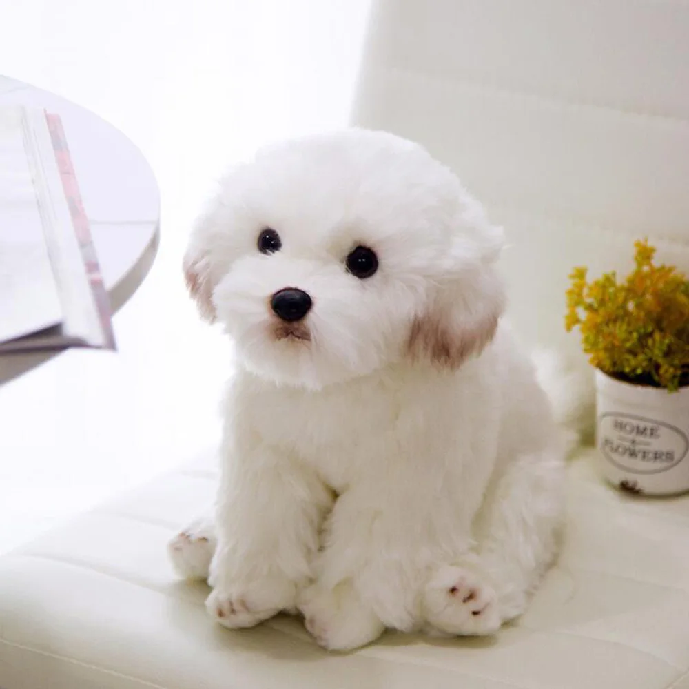 

Creative Cute Simulation Animal Maltese Dog Children Stuffed Plush Toy Birthday Christmas Gifts