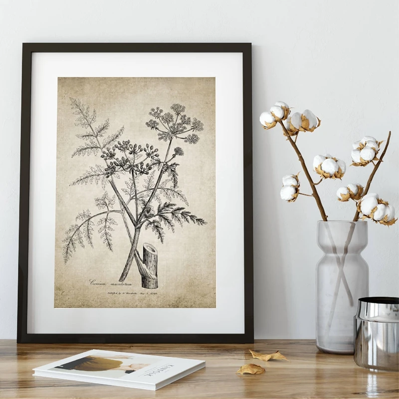 Antique Botanical Vintage Posters and Prints Pictures Plants Retro Wall Art Canvas Painting Room Wall Decoration Home Decor