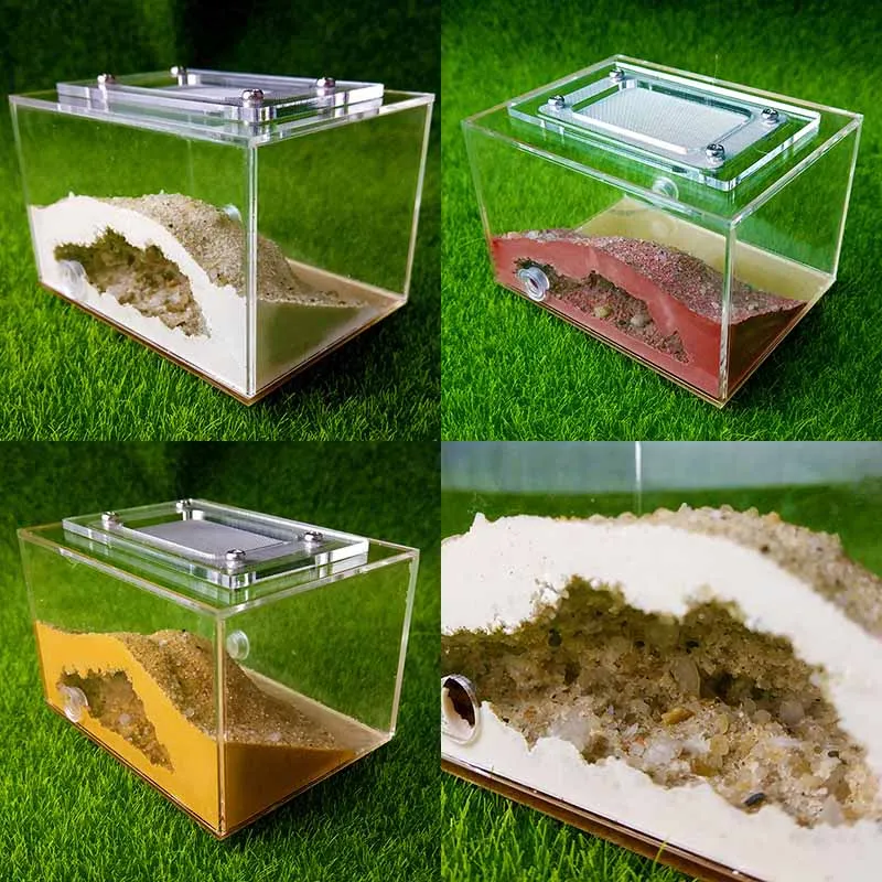 Mini Imitation Ecological Plaster Ant Nest Pet Ant Castle Workshop Home Reptile Terrarium