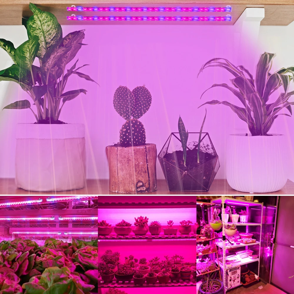 Greenhouses LED Grow Light Strips USB Red Blue Full Spectrum Plantas Lamp with Timer Dimmable Indoor Hydroponics Phytolamps