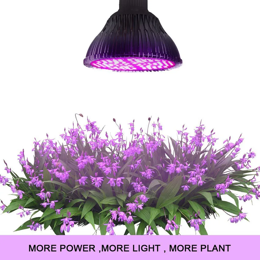 Nearcam Full-Spectrum Led Plantengroei Lamp 30W50W80W100W Kas Planten Supplement Licht Groente-en Fokken Lamp