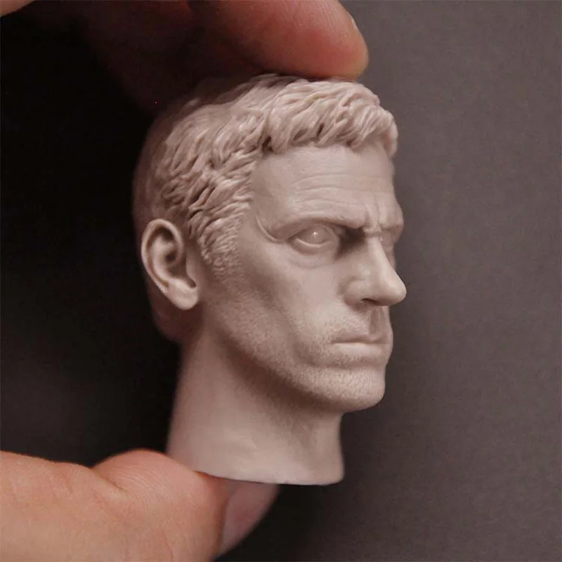 Blank 1/6 Scale Hugh Laurie Head Sculpt Unpainted Fit 12