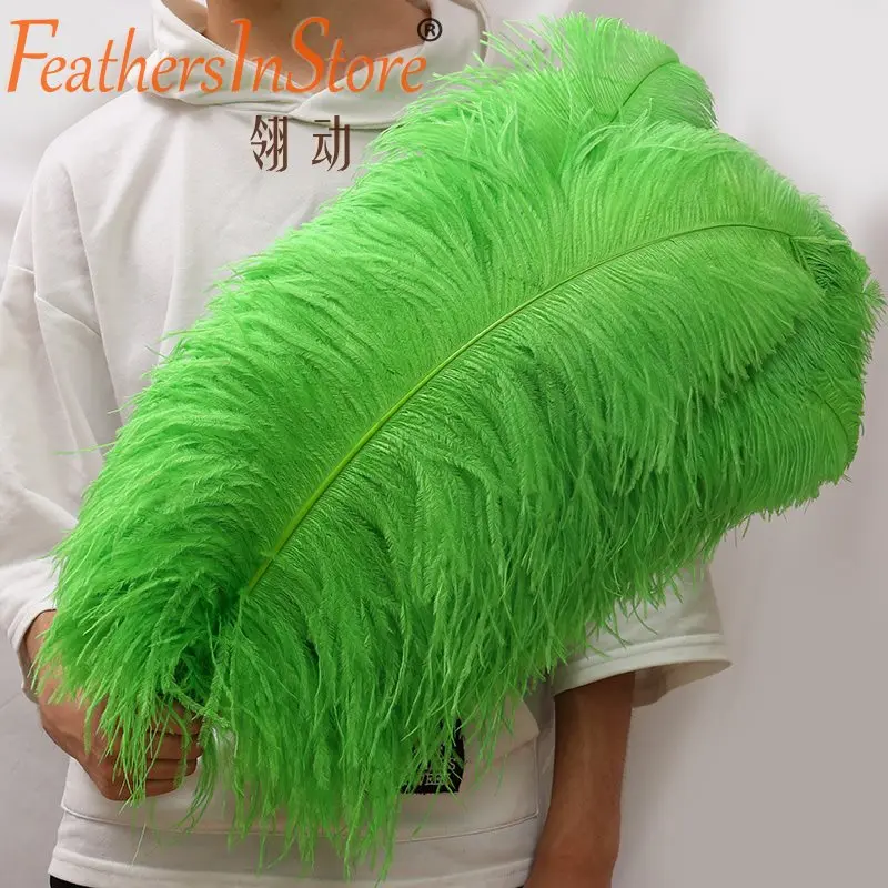 Wholesale Ostrich Feather 20pcs/lot 24-26