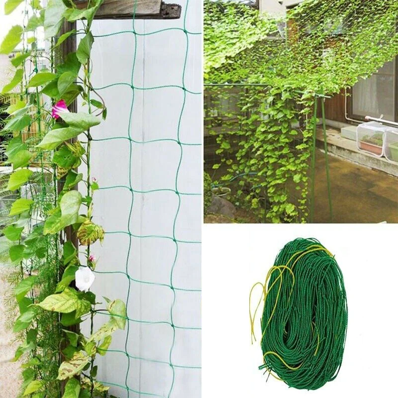Aksesori Tanaman Jaring Teralis Tanaman untuk Memanjat Tanaman Perlengkapan Berkebun Jaring Teralis Tanaman Merambat Kebun