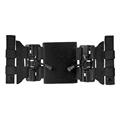 type 1 Black