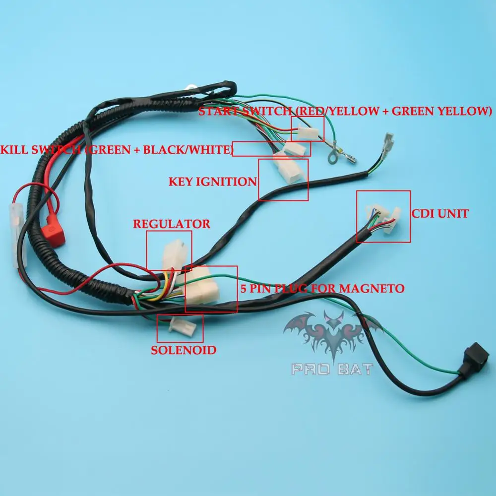 WIRE LOOM WIRING HARNESS WIRELOOM For 150cc 200cc 250cc 300cc ATV QUAD DIRT PIT BIKE BUGGY DUNE