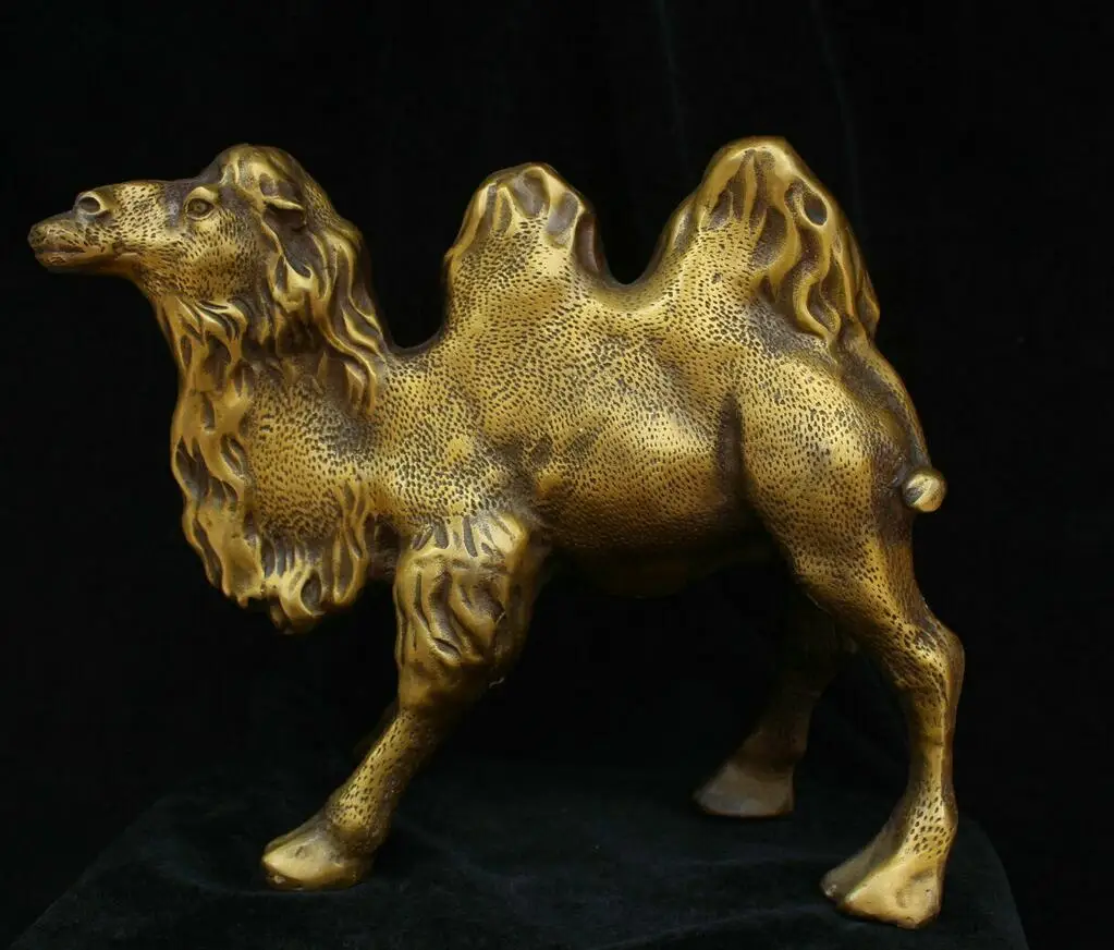 Free shipping China Chinese Folk Fengshui Bronze Brass Animal Camel Statue Sculpture 03