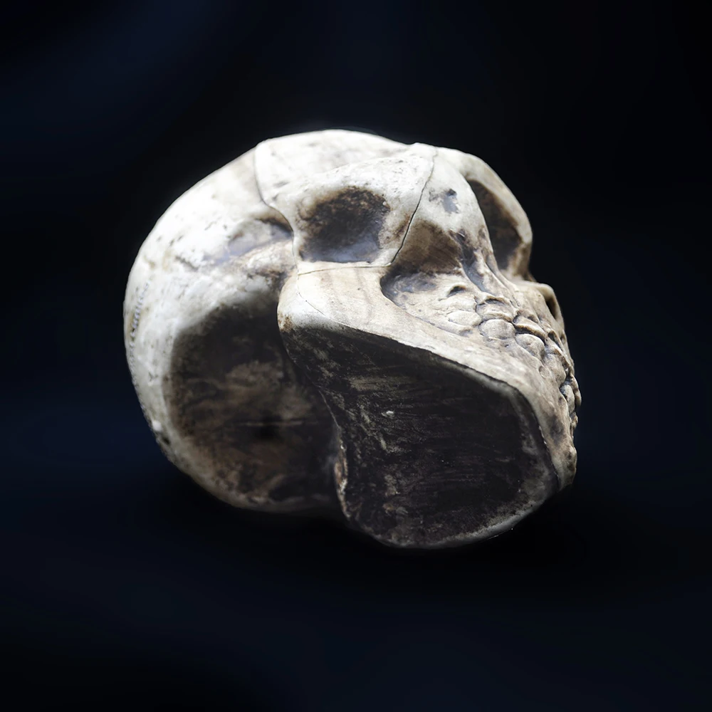 Halloween Schädel Dekoration Hohe Qualität Kunststoff Schädel Modell Anhänger Statue Skulptur Horror Requisiten Spukhaus Party Ornamente – Detail 8
