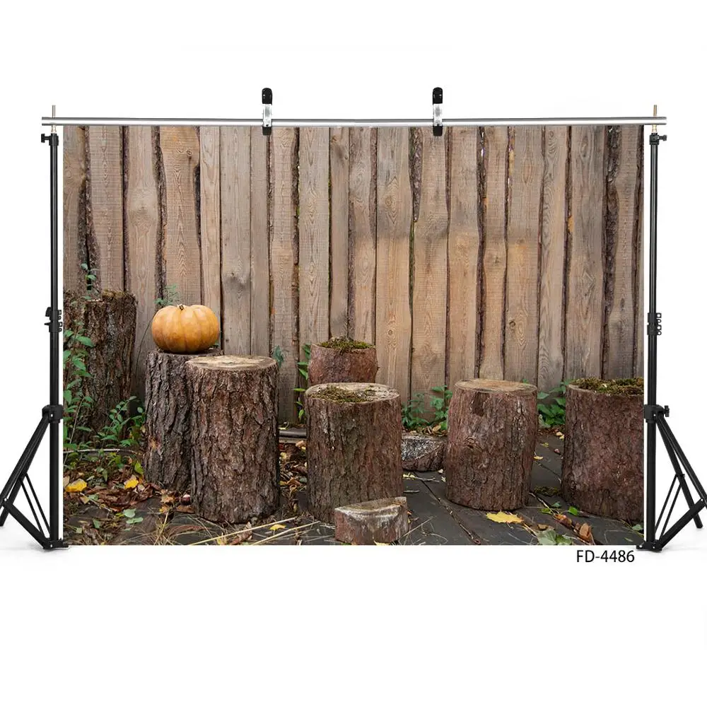 Fondos de fotografía de pared de madera para niños, fiesta de Halloween de vinilo para telón de fondo, sesión fotográfica, topos, calabaza, otoño