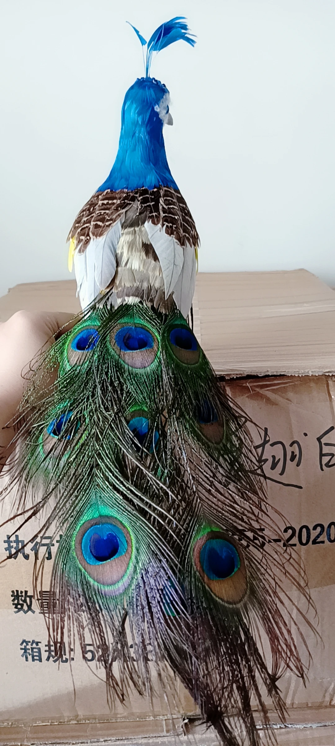 new real life peacock model foam&feather simulation peacock gift about 40cm xf3000