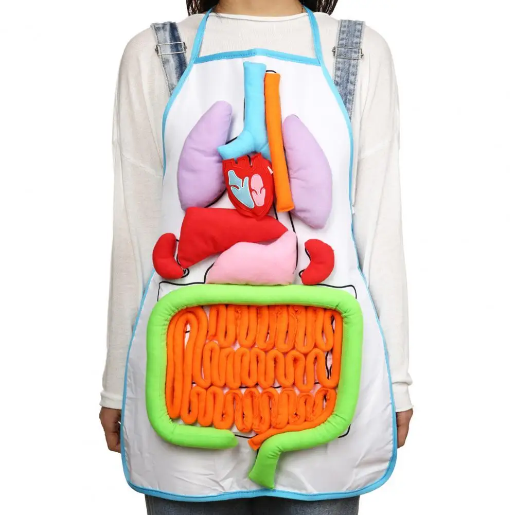 Kitchen Anatomy Apron Human Body Organ Educational Tool Children Preschool Teaching Aid Nail Salon Dress Women Men Apron