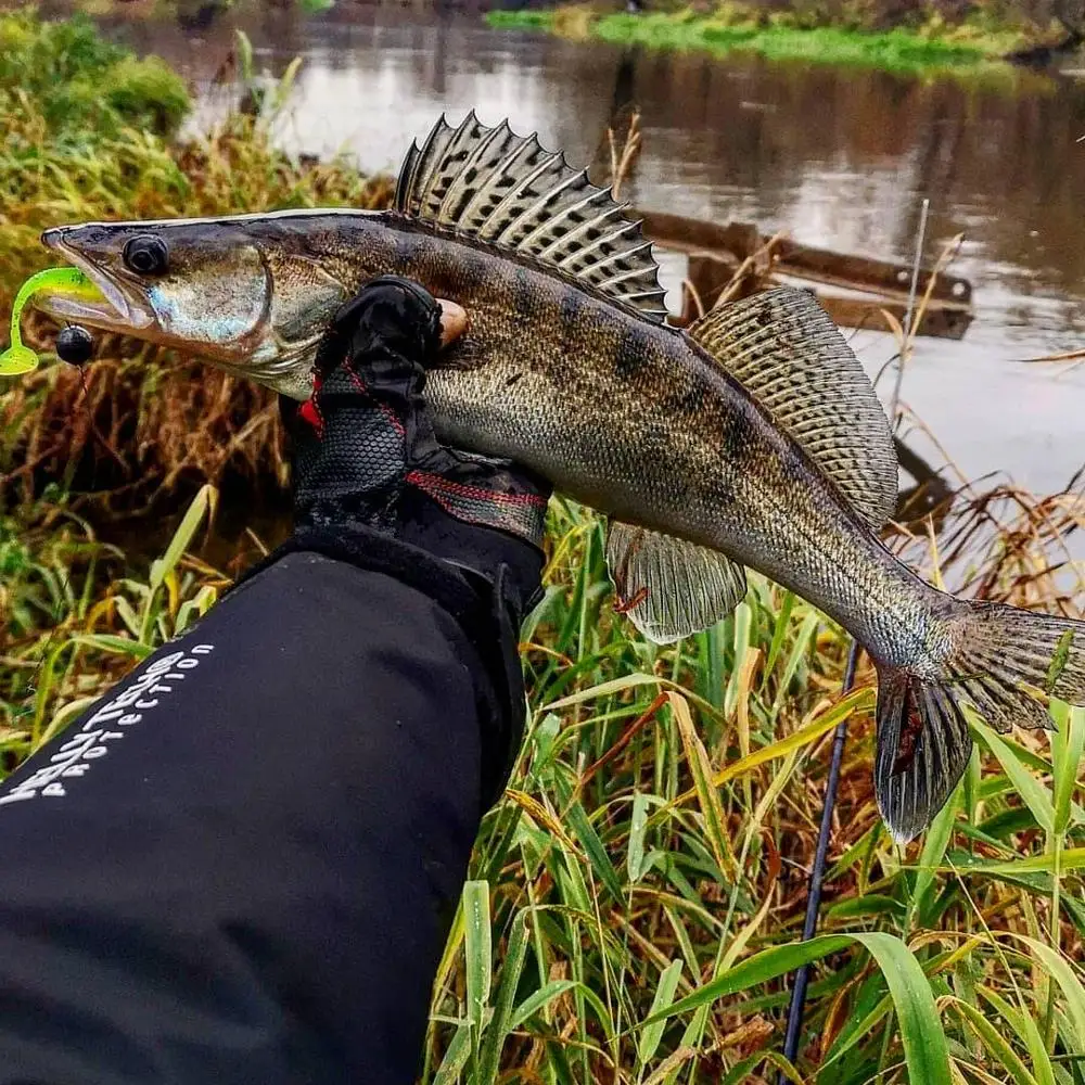 Supercontinent  Fishing Lures New color updates, continuous updates! 5CM 8CM 9.5CM 11CM