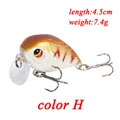 color H