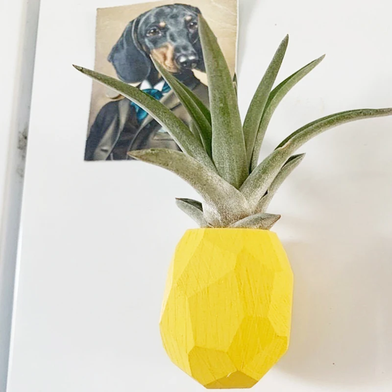

3M Glue Pineapple Air Plant Pot, Air Plant Holder, Planter Container, Display with Indoor Wall, Home Decor