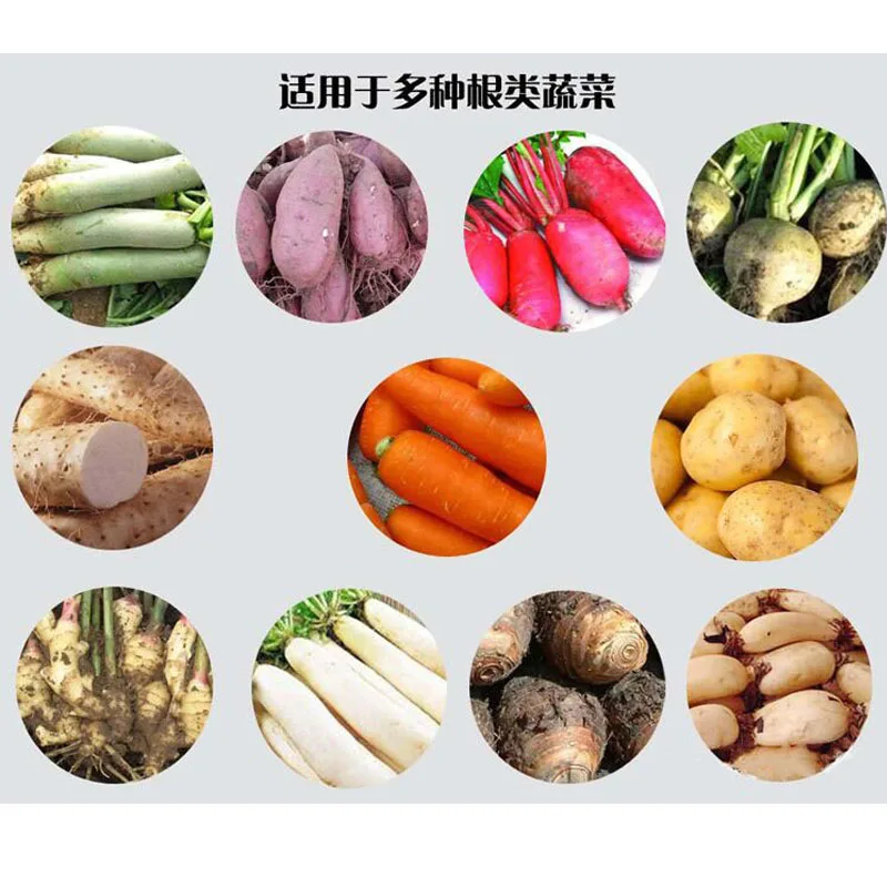 Factory Price Fruit Vegetable Brush Washing Equipment Cassava Cleaning Ginger Washer Industrial Potato Peeling Machine