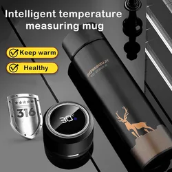 500ML Smart Thermos Water Bottle Led Digital Temperature Display Food Thermos For Tea Coffee Thermal Mugs Beautiful Cup