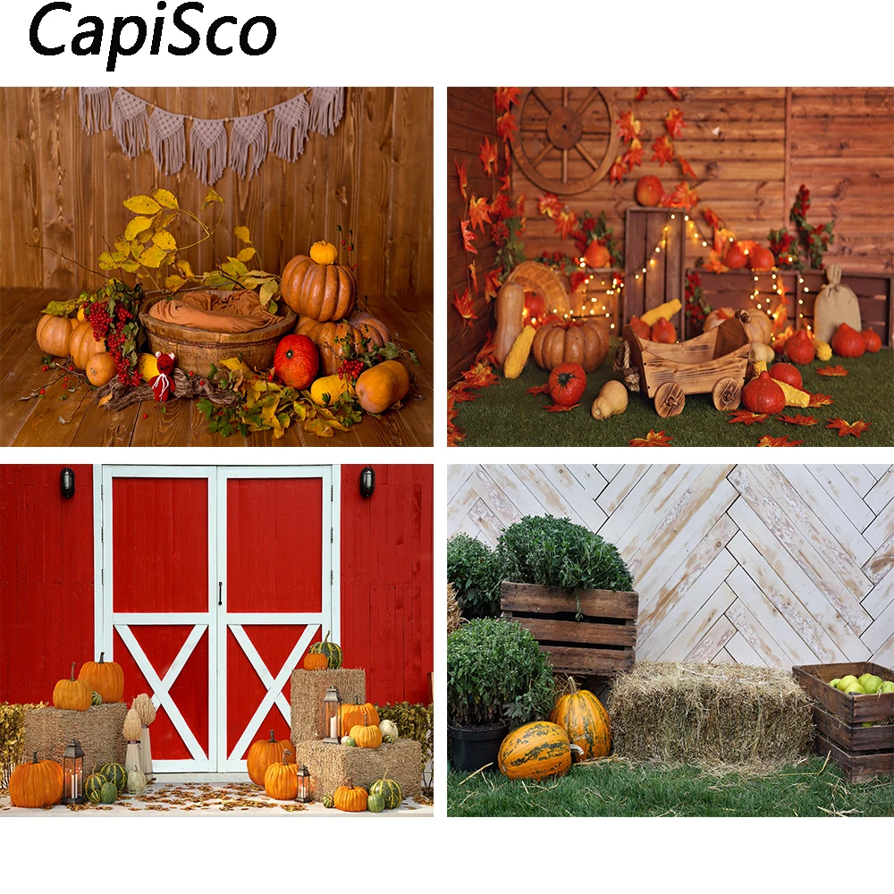 Capisco Autumn Farm…