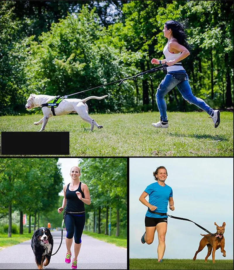 Sports Free Hands Dog Leash Reflective Elastic Anti-collision Dog Traction Rope Waist Bag Outdoor Running Leash Dog Accessories