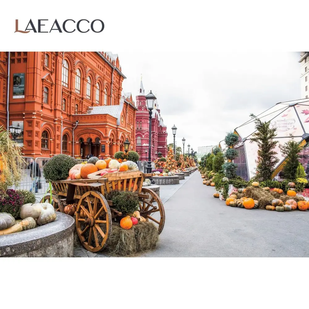 Laeacco Photographic Background For Photo Autumn Harvest Season Pumpkin Market Street Old Town Scenic Photo Backdrop Photostudio