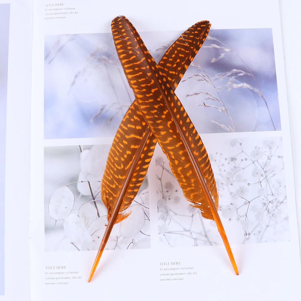 10Pcs/Lot Natural Pheasant Feathers for Crafts 20-25 CM Wedding Decorations Pheasant Feather Plumes Plumas